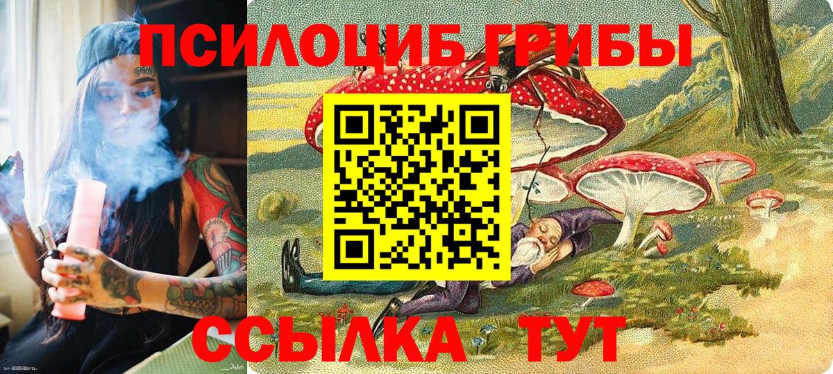 Псилоцибиновые грибы Cubensis  Вход с VPN  Смоленск 
