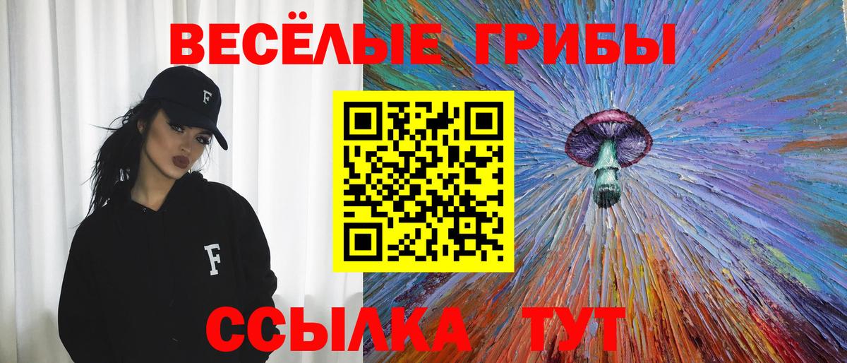 Галлюциногенные грибы Psilocybe Смоленск