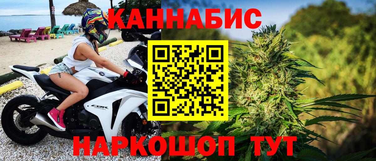 Канабис сатива Смоленск